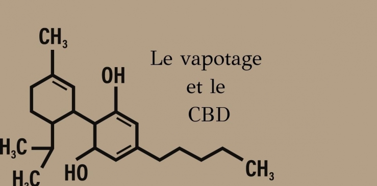 Le vapotage : l'une des meilleures façons de consommer du CBD